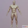 1526562 - PBR Game 3D Models - Pavel 3Dscan Nudebody 3D Max