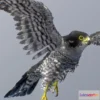 1526600 - PBR Game 3D Models - Peregrine Falcon 3D Max