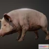 1526640 - PBR Game 3D Models - Pig Animations 3D Max