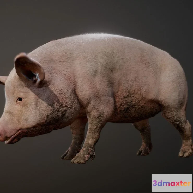 1526640 - PBR Game 3D Models - Pig Animations 3D Max