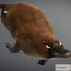 1526706 - PBR Game 3D Models - Platypus 3D Max