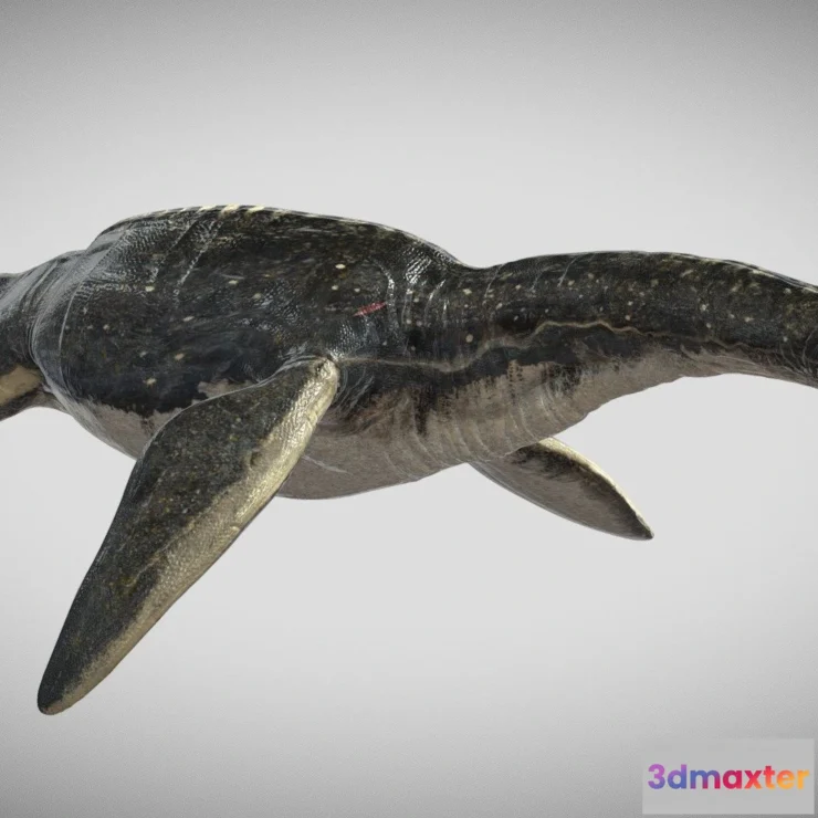 1526724 - PBR Game 3D Models - Plesiosaurus 3D Rigged Model 3D Max
