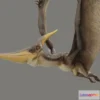 1526842 - PBR Game 3D Models - Pteranodon Longiceps 3D Max
