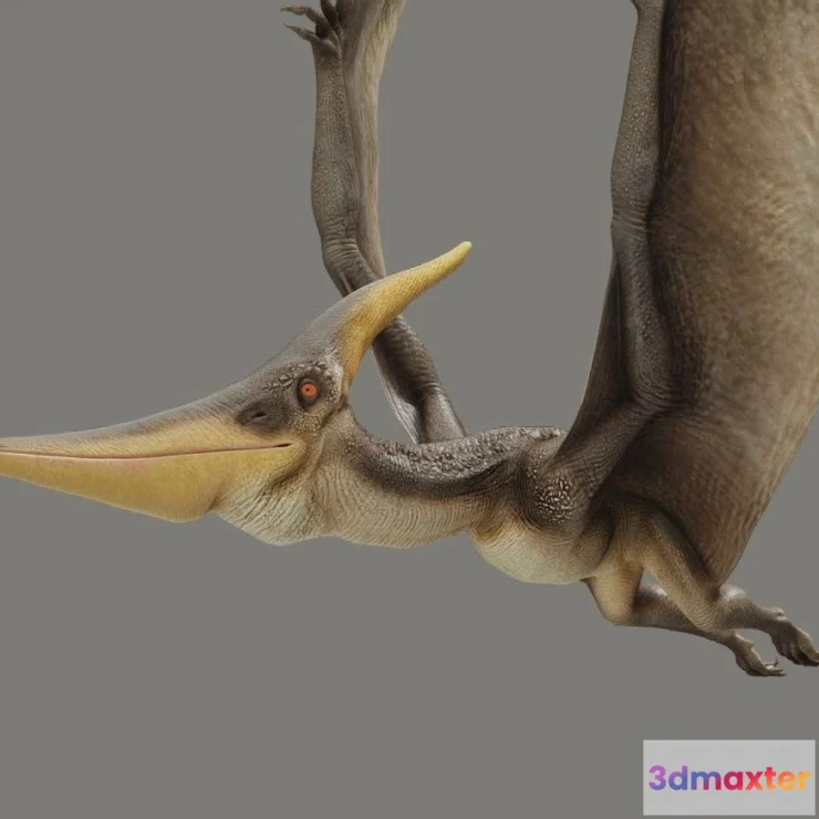 1526842 - PBR Game 3D Models - Pteranodon Longiceps 3D Max