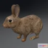1526860 - PBR Game 3D Models - Rabbit 2 3D Max