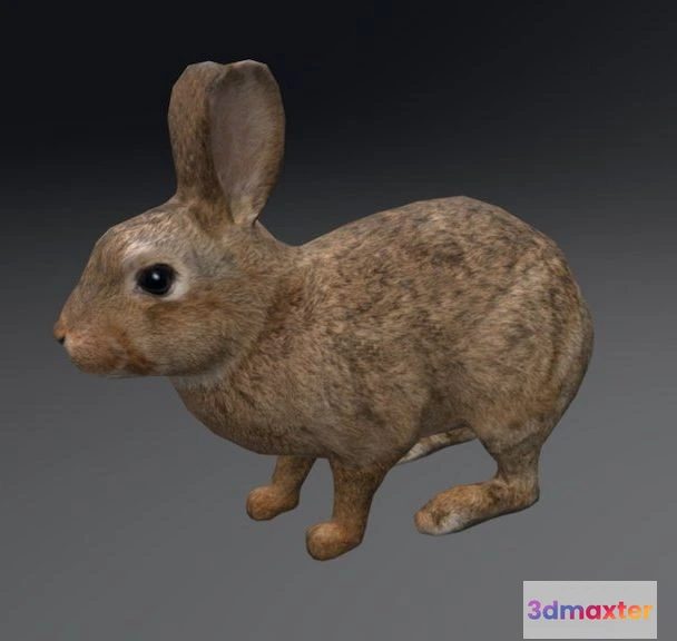 1526860 - PBR Game 3D Models - Rabbit 2 3D Max