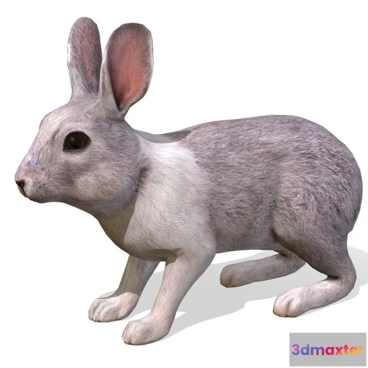 1526862 - PBR Game 3D Models - Rabbit Animations 3D Max