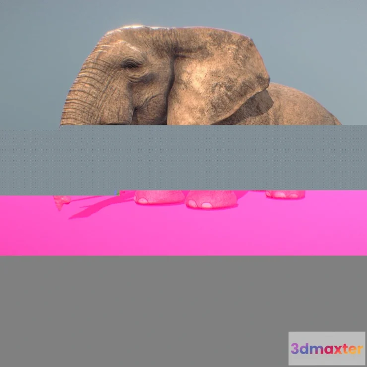 1526906 - PBR Game 3D Models - Realistic Elephant 3D Max