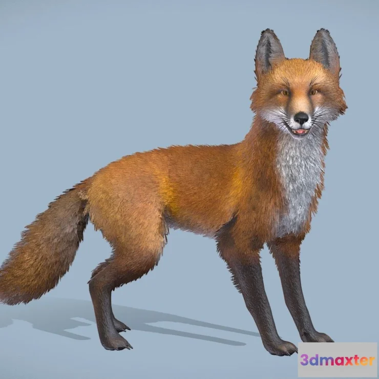 1526910 - PBR Game 3D Models - Realistic Fox 3D Max