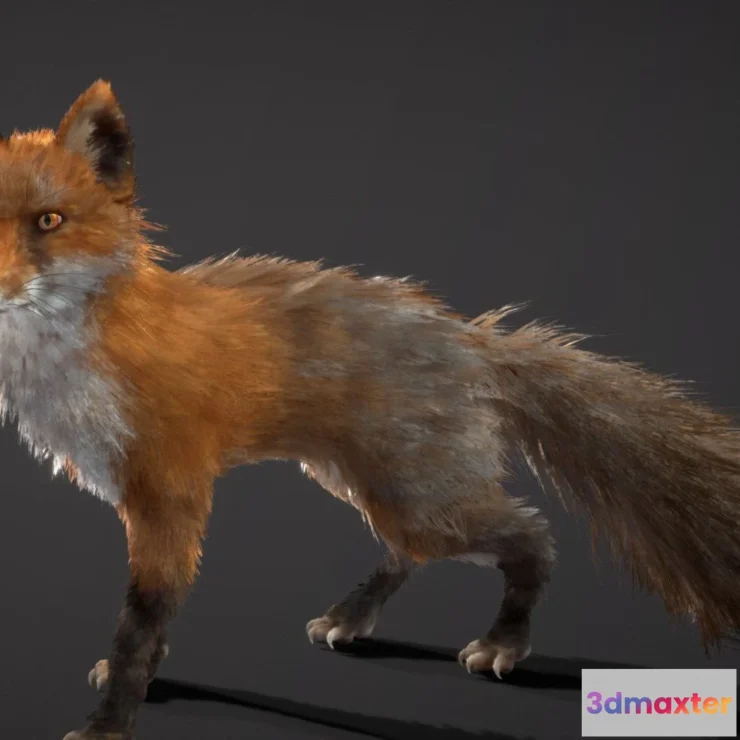 1526948 - PBR Game 3D Models - Red Fox 3D Max