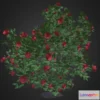 1526950 - PBR Game 3D Models - Red Rose Shrub 3D Max