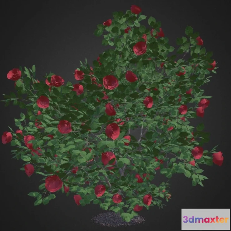 1526950 - PBR Game 3D Models - Red Rose Shrub 3D Max