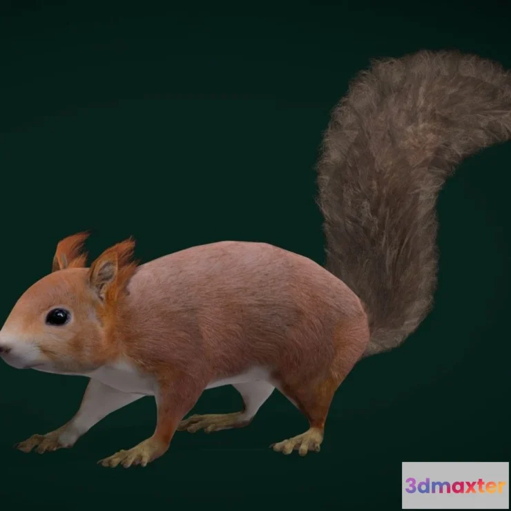 1526954 - PBR Game 3D Models - Red Squirrel Game Ready 3D Max
