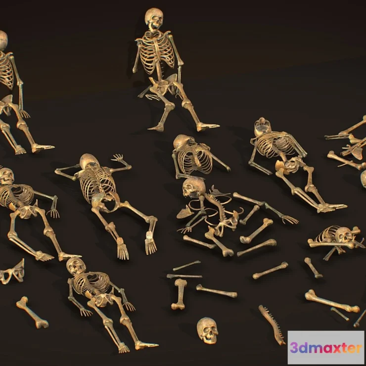 1526962 - PBR Game 3D Models - Remains Skeleton Bone Big Pack 3D Model 3D Max