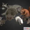1527062 - PBR Game 3D Models - Rodents Pack 3D Max