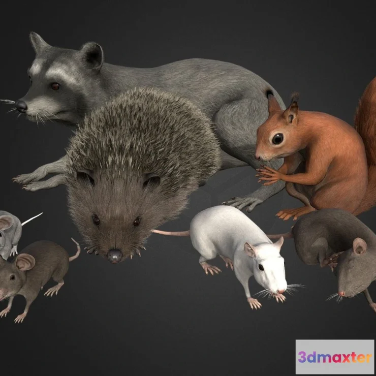 1527062 - PBR Game 3D Models - Rodents Pack 3D Max
