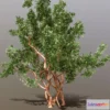 1527186 - PBR Game 3D Models - Arrayan Luma Apiculata Low Poly 3D Max