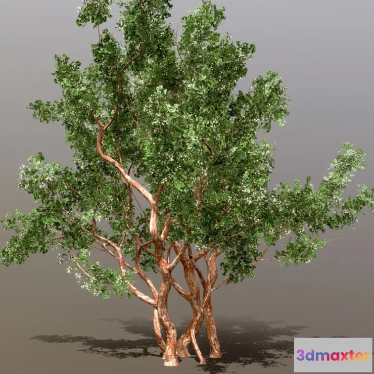 1527186 - PBR Game 3D Models - Arrayan Luma Apiculata Low Poly 3D Max