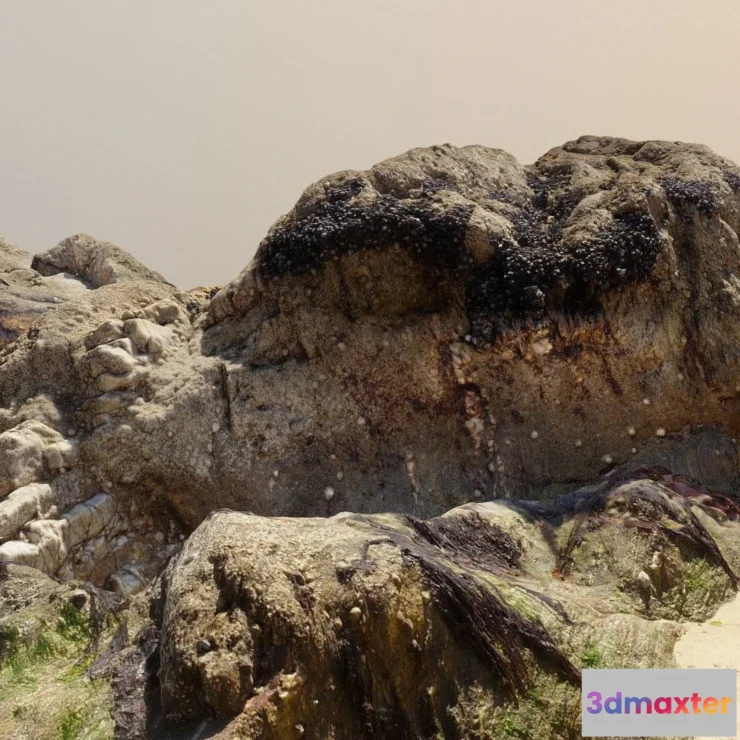 1527206 - PBR Game 3D Models - Beach Rock 3D Max