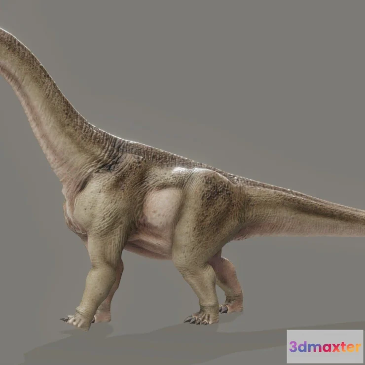 1527236 - PBR Game 3D Models - Camarasaurus Lentus 3D Max
