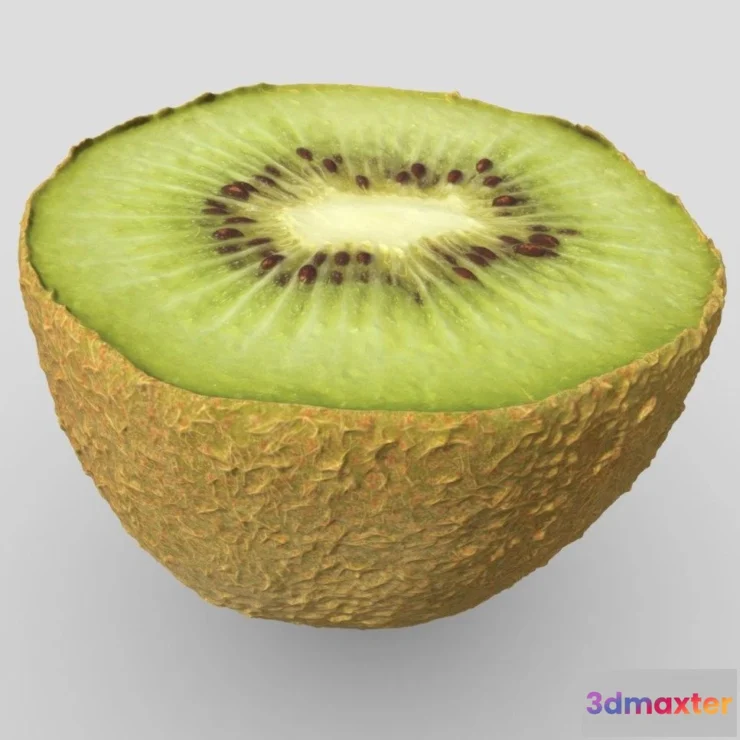 1527286 - PBR Game 3D Models - Chilean Kiwi 3D Max