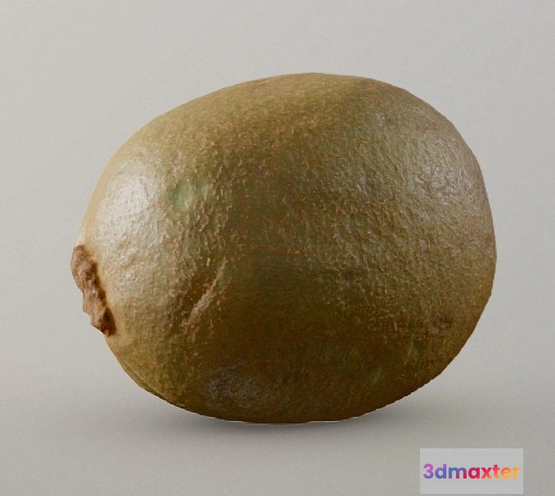 1527290 - PBR Game 3D Models - Chiles Kiwi 3D Max