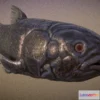 1527310 - PBR Game 3D Models - Coelacanth Fish 3D Max