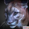 1527318 - PBR Game 3D Models - Cougar 3D Max