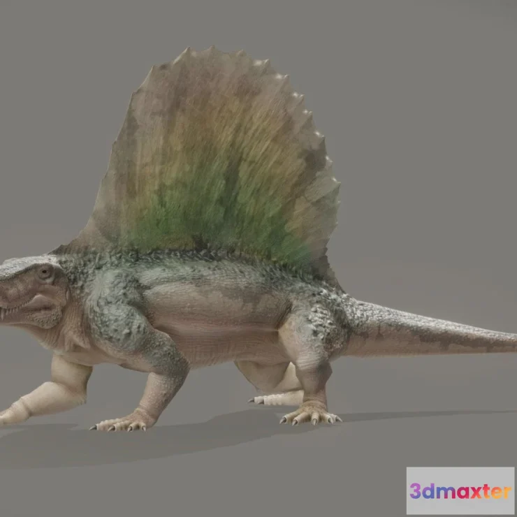 1527378 - PBR Game 3D Models - Dimetrodon Grandis 3D Max