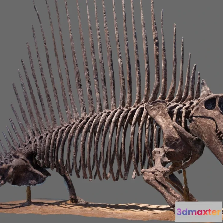 1527380 - PBR Game 3D Models - Dimetrodon 3D Max
