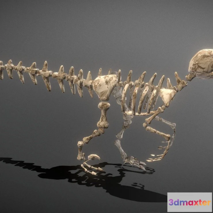 1527386 - PBR Game 3D Models - Dinosaur Skeleton 3D Max