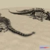 1527390 - PBR Game 3D Models - Diplodocus Skeletons 3D Max
