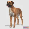 1527406 - PBR Game 3D Models - Dog Boxer 3D Max