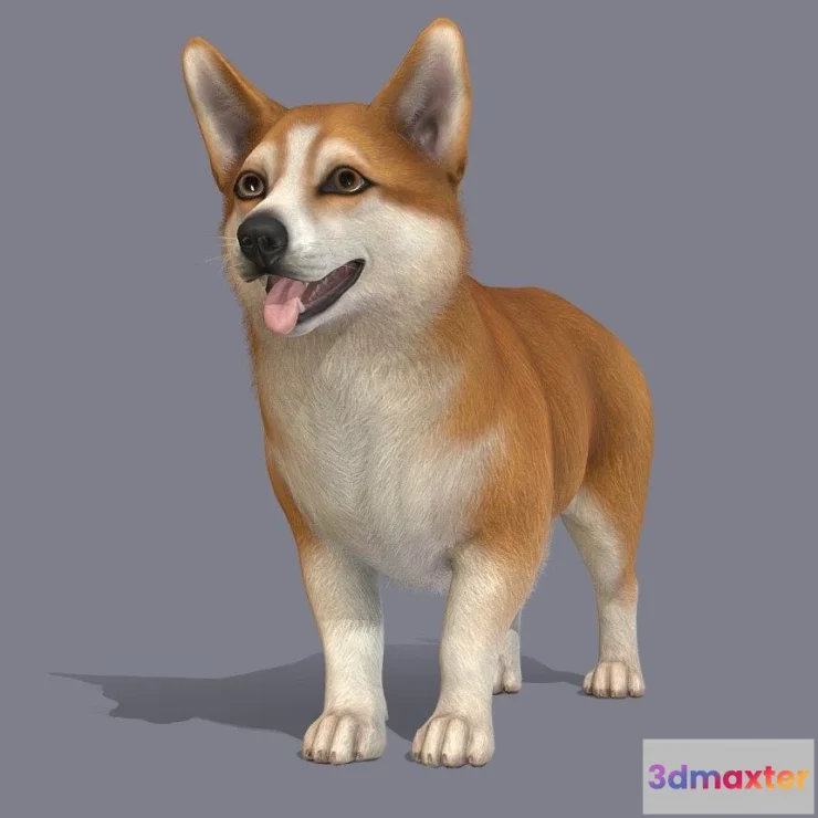 1527408 - PBR Game 3D Models - Dog Corgi V2 3D Max