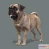 1527424 - PBR Game 3D Models - Dog Pug V2 3D Max