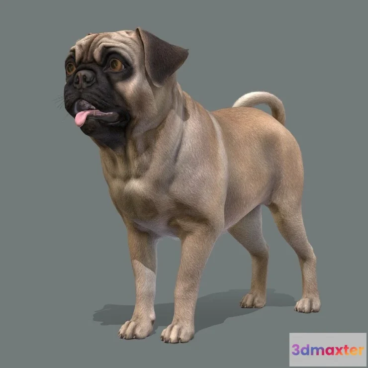 1527424 - PBR Game 3D Models - Dog Pug V2 3D Max