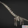 1527436 - PBR Game 3D Models - Dreadnoughtus Skeleton 3D Max
