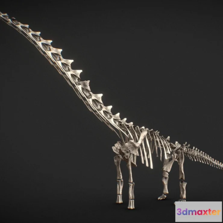 1527436 - PBR Game 3D Models - Dreadnoughtus Skeleton 3D Max