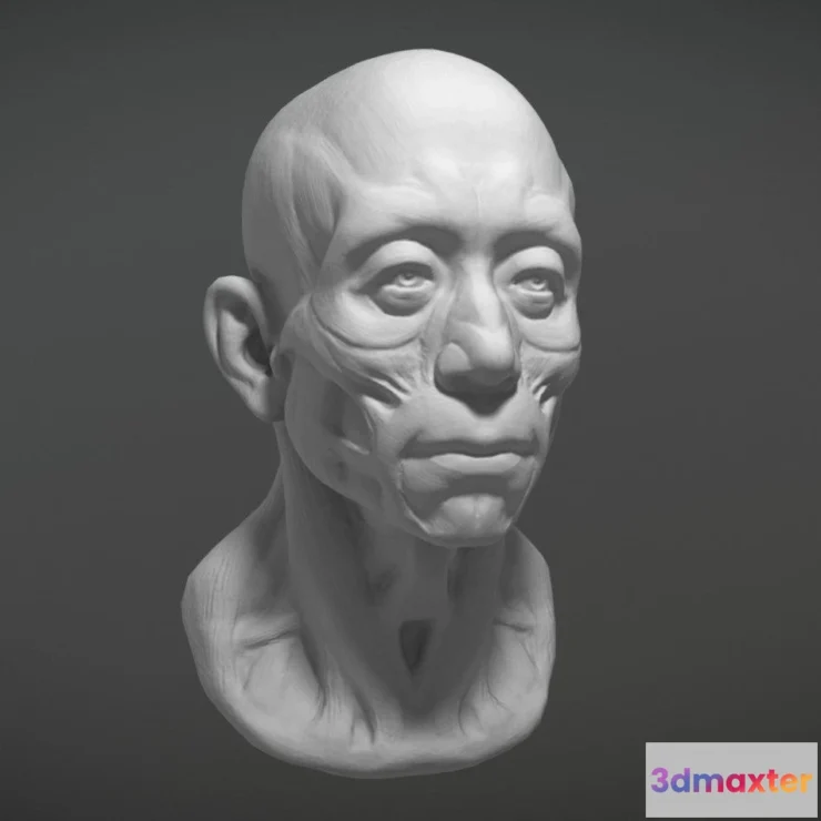 1527446 - PBR Game 3D Models - Dsffg 3D Max