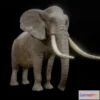1527524 - PBR Game 3D Models - Elephant Animations 3D Max