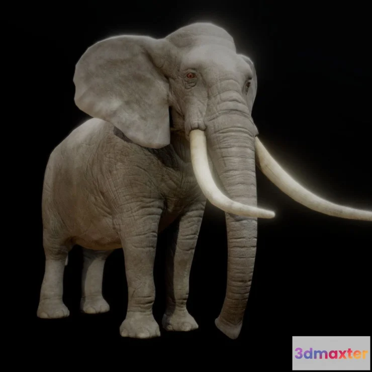 1527524 - PBR Game 3D Models - Elephant Animations 3D Max