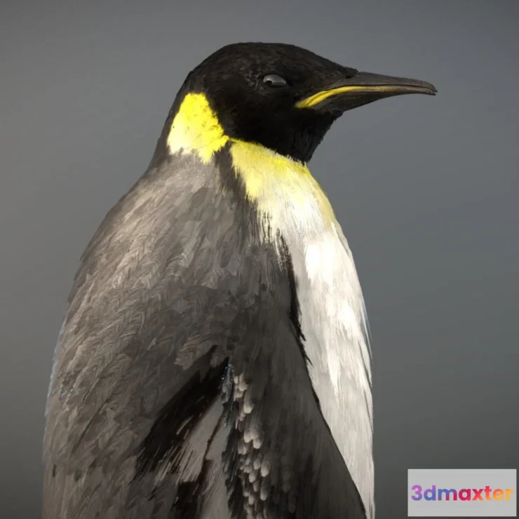 1527538 - PBR Game 3D Models - Emperor Penguin 3D Max