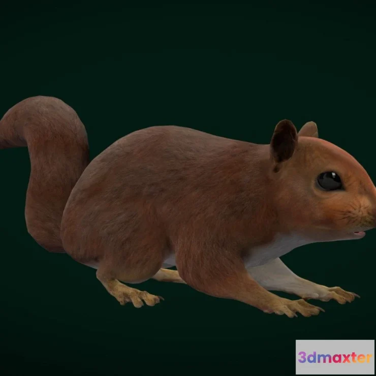 1527580 - PBR Game 3D Models - Eurasian Red Squirrel Rodent 3D Max