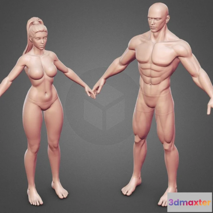 1527658 - PBR Game 3D Models - Fantasy Stylized Hero Basemesh Zbursh Highpoly 3D Max