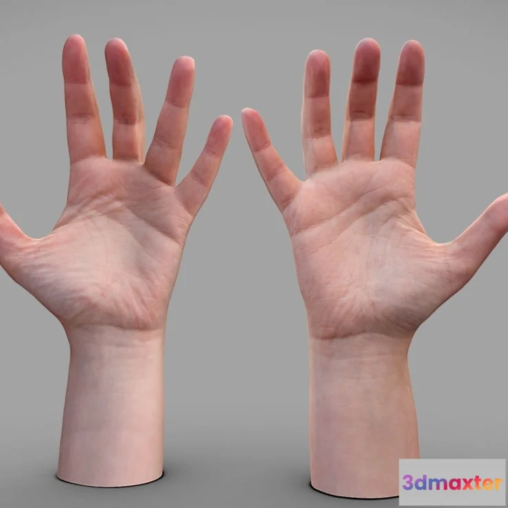 1527696 - PBR Game 3D Models - Female Hands 3D Max