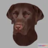 1527998 - PBR Game 3D Models - Printable Brown Labrador Head Wall Mount 15 Cm 3D Max