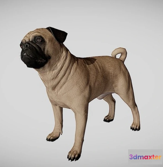 1528016 - PBR Game 3D Models - Pug 3D Max