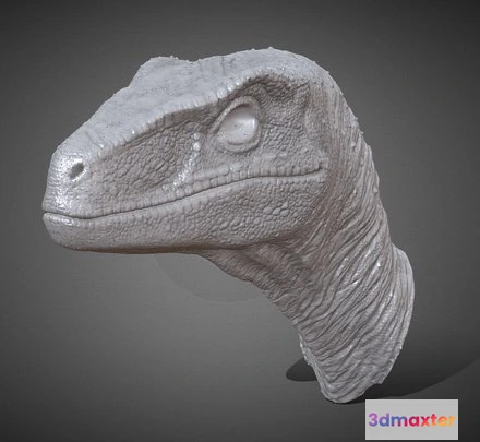 1528046 - PBR Game 3D Models - Raptor Head (Printable) 3D Max