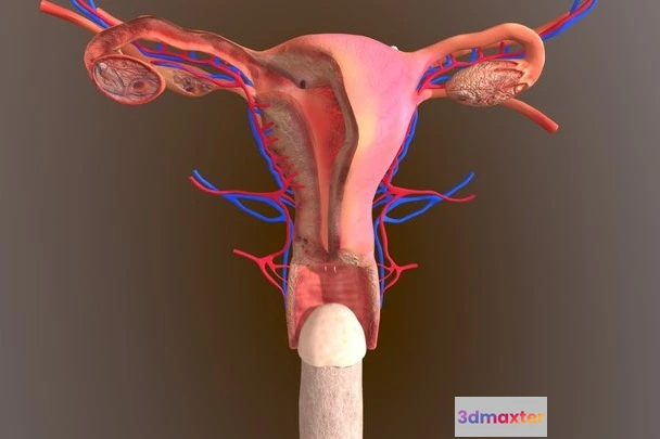 1528070 - PBR Game 3D Models - Reproduction Process V5 3D Max