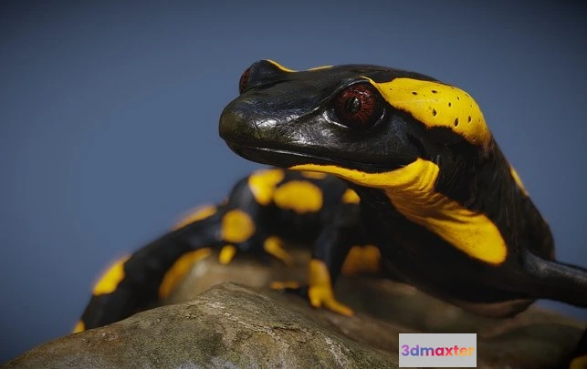 1528128 - PBR Game 3D Models - Salamander 3D Max